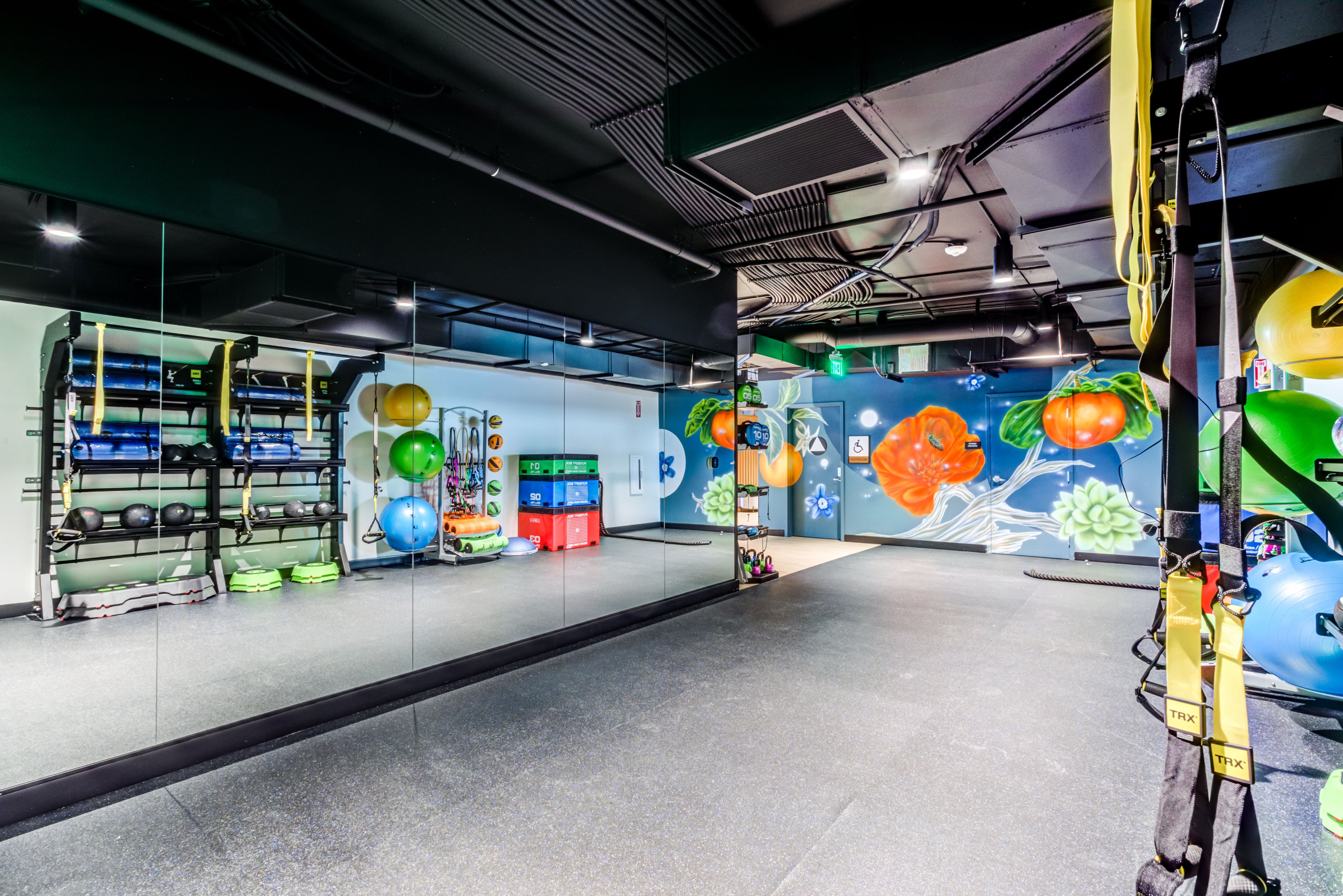 Fitness room with a colorful mural, exercise balls, and a rack of weights